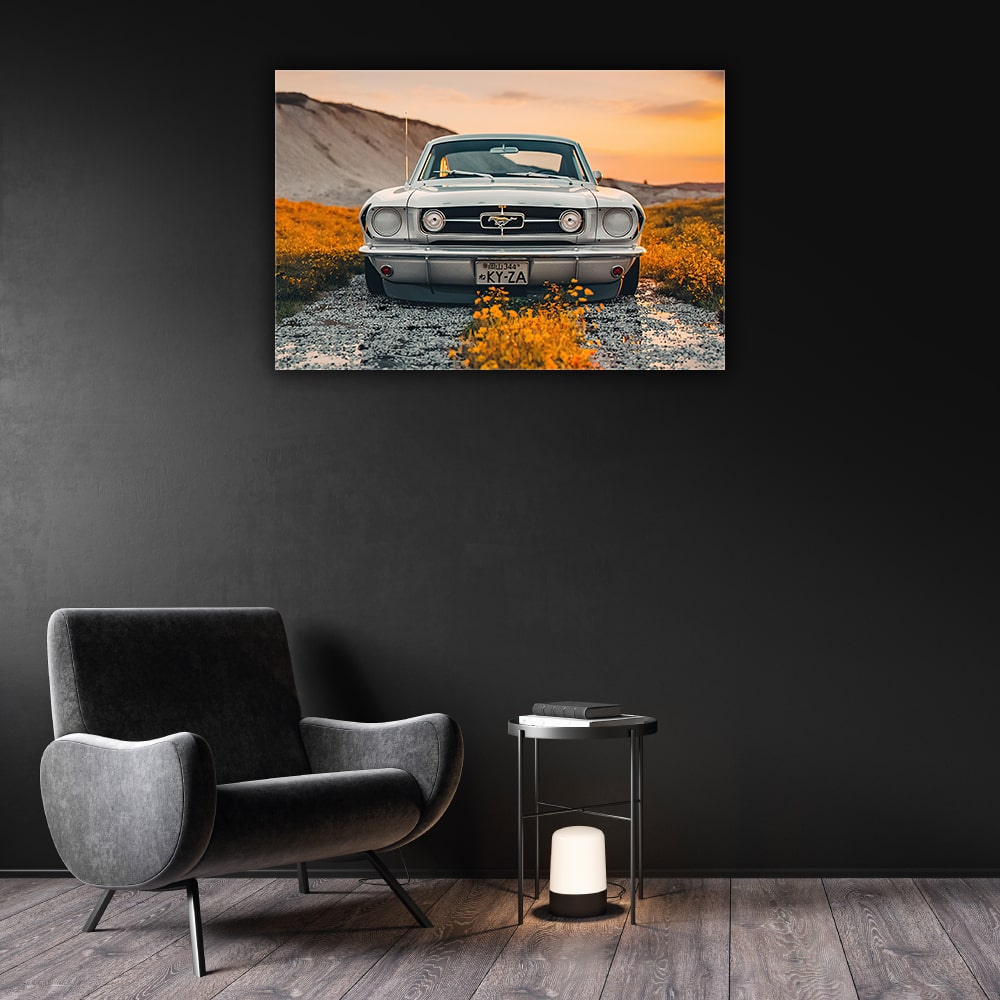 Fotoobraz - Ford Mustang
