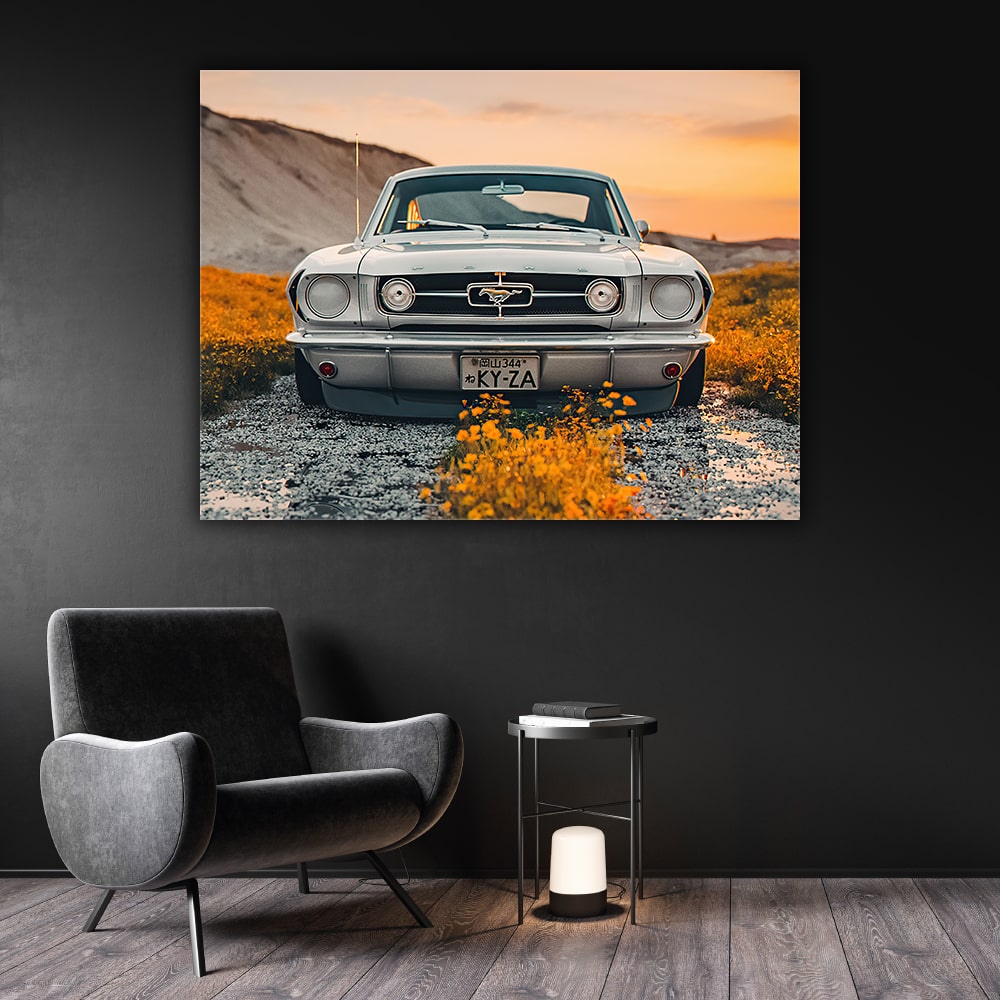 Fotoobraz - Ford Mustang